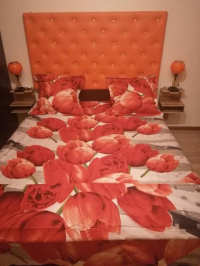Homestay in Tbilisi center GM